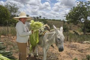 ARTE POPULAR - SISAL