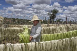 ARTE POPULAR - SISAL