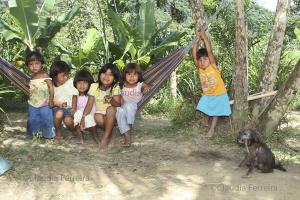 ALDEIA INDÍGENA GUARANI "SAPUKAI"