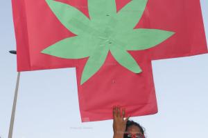 MARCHA DA MACONHA 