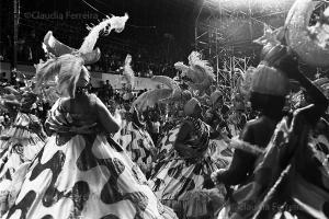 Desfile do Grêmio Recreativo Escola de Samba Estação Primeira de Mangueira