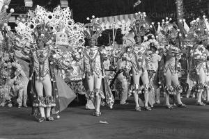 Desfile do Grêmio Recreativo Escola de Samba Unidos de Vila Isabel