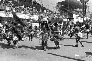 Desfile do Grêmio Recreativo Escola de Samba Império da Tijuca