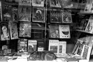 Gato na vitrine da livraria