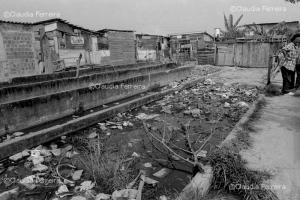 Favela do Sapo e da Perereca