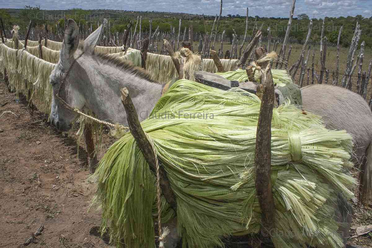 ARTE POPULAR - SISAL