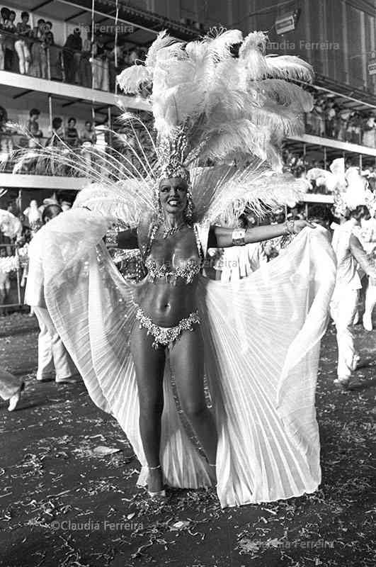 Parade of Recreative Society  Samba School Beija-Flor de Nilópolis. 