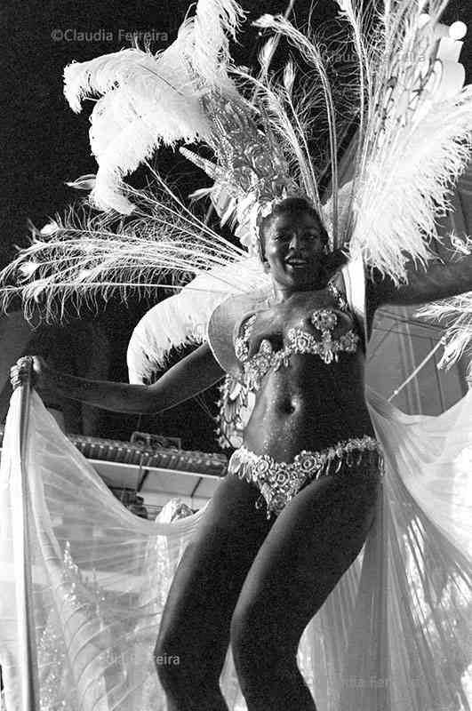 Parade of Recreative Society  Samba School Beija-Flor de Nilópolis. 