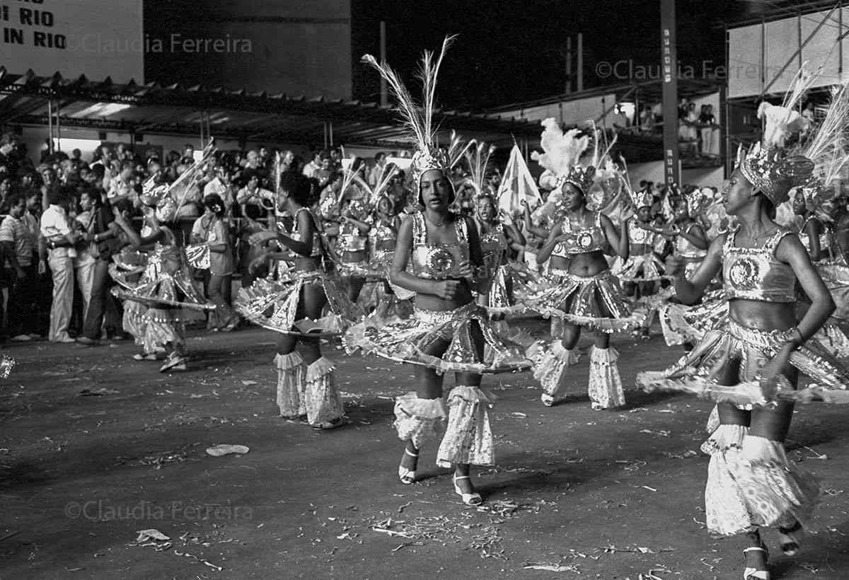 Parade of Recreative Society  Samba School Beija-Flor de Nilópolis. 